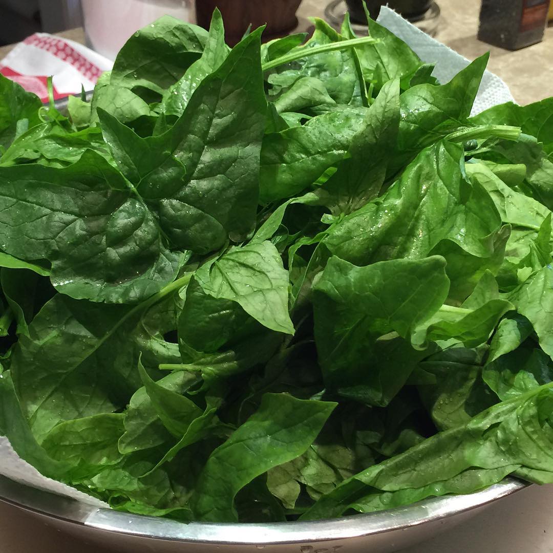 spinach lives